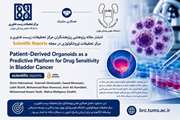 توسعه پلتفرم ارگانوئیدهای مشتق از بیمار برای ارزیابی حساسیت دارویی در سرطان مثانه