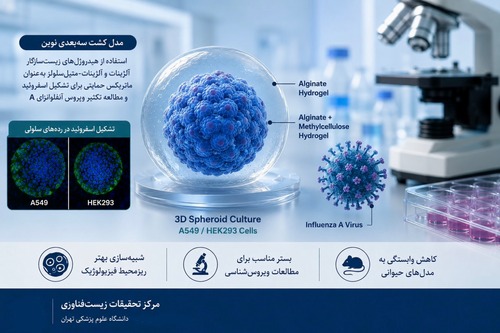 ارائه دستاورد پژوهشی مرکز تحقیقات زیست فناوری در زمینه توسعه مدل‌های سه‌بعدی برای مطالعه ویروس آنفلوانزا