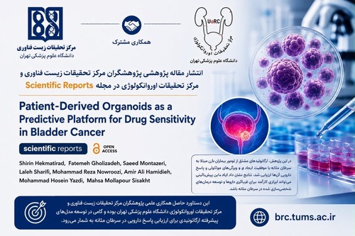 توسعه پلتفرم ارگانوئیدهای مشتق از بیمار برای ارزیابی حساسیت دارویی در سرطان مثانه